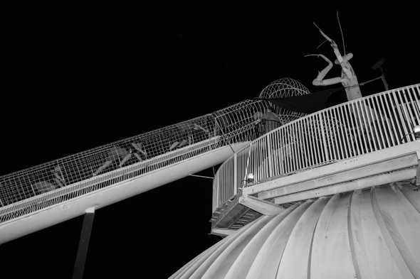 Preying mantis sculpture and slide on the roof of the City Museum